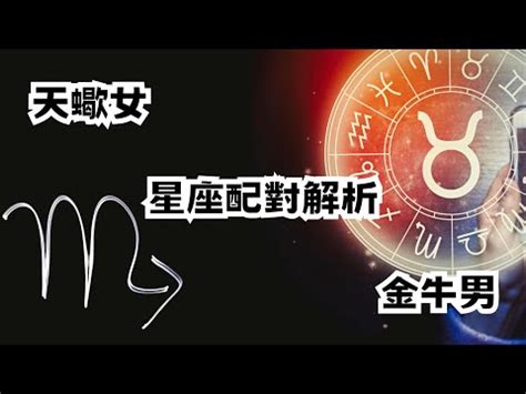 生效配對|超準十二星座配對｜2024最新愛情配對分析查詢｜天天星